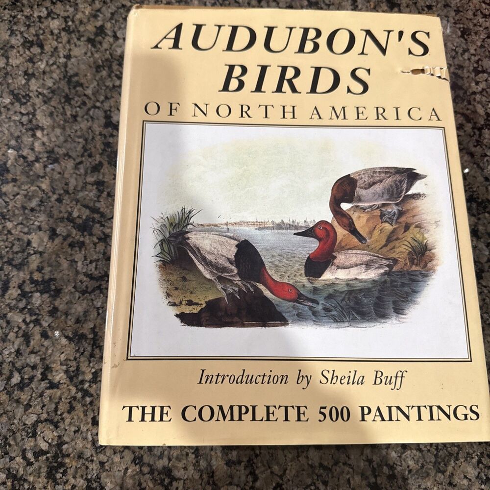 Audubon's Birds of North America by Shelia Buff (1990, Hardcover)